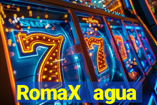 RomaX agua sanitaria fispq agua sanitaria romax