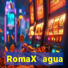 RomaX agua sanitaria fispq agua sanitaria romax