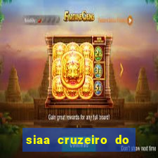 siaa cruzeiro do sul aluno