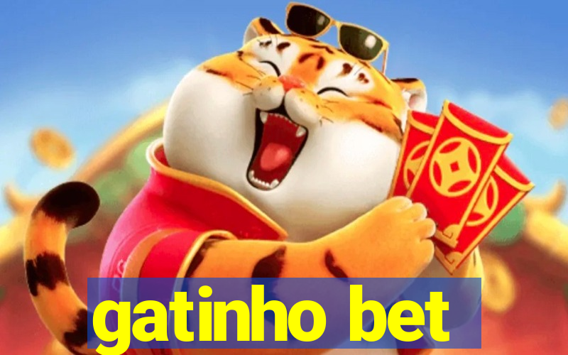 gatinho bet