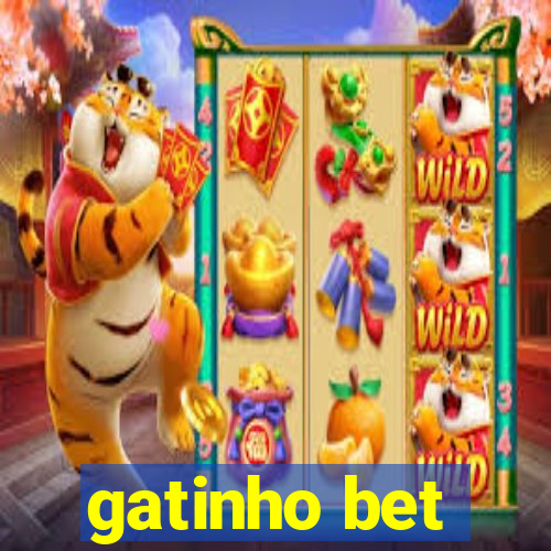 gatinho bet