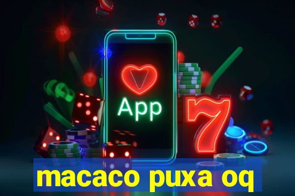 macaco puxa oq