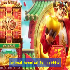 animal hospital for rabbits