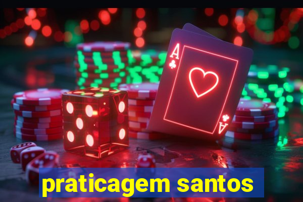 praticagem santos