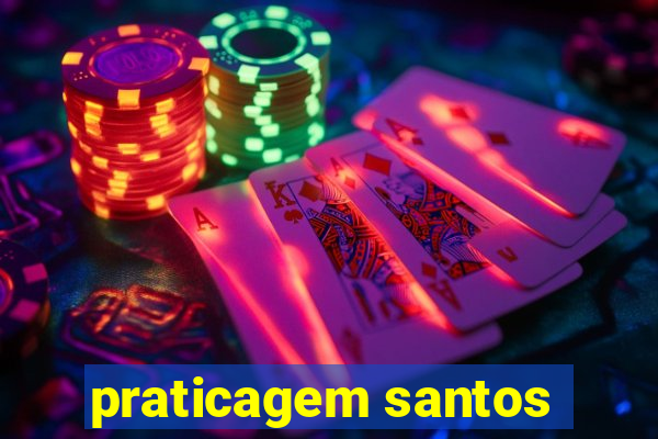 praticagem santos