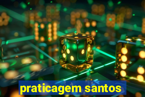 praticagem santos