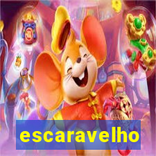 escaravelho significado oculto