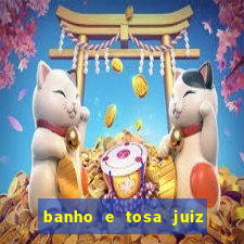 banho e tosa juiz de fora