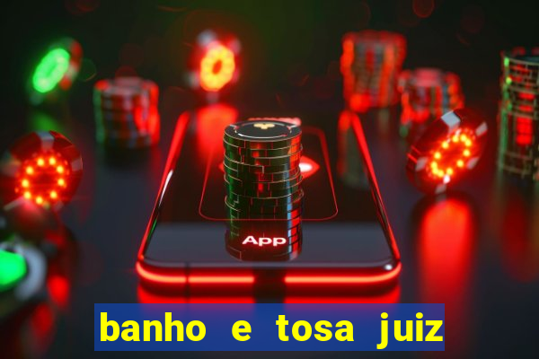 banho e tosa juiz de fora