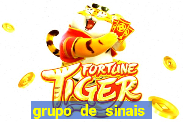 grupo de sinais mines whatsapp