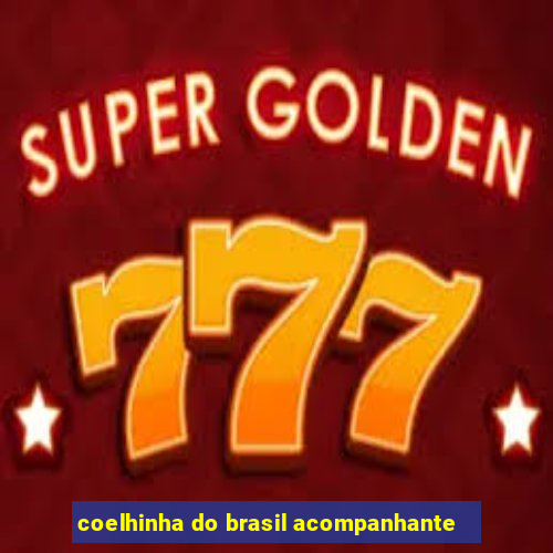 coelhinha do brasil acompanhante