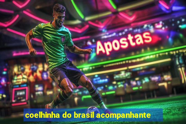 coelhinha do brasil acompanhante