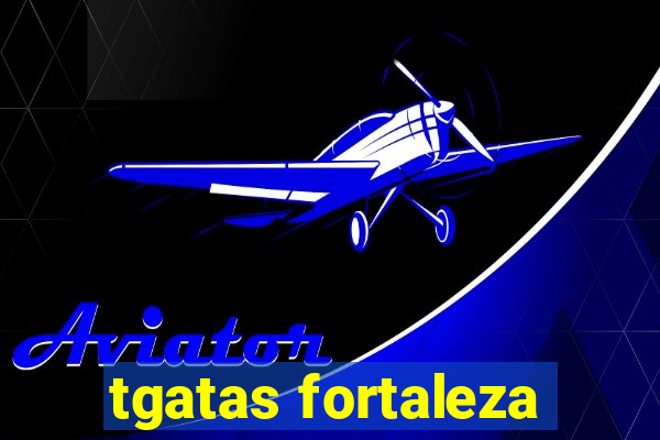 tgatas fortaleza