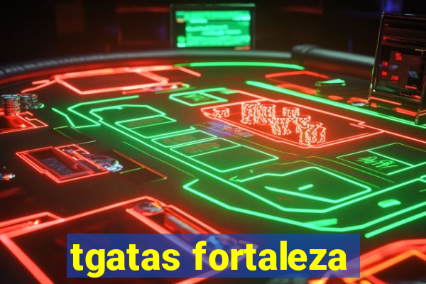 tgatas fortaleza