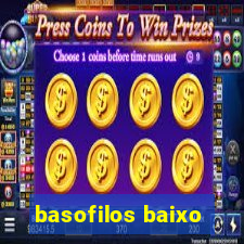 basofilos baixo