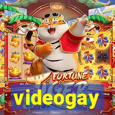 videogay