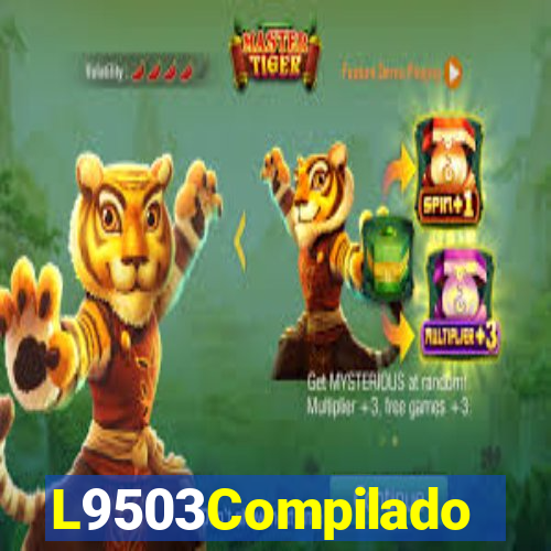 L9503Compilado