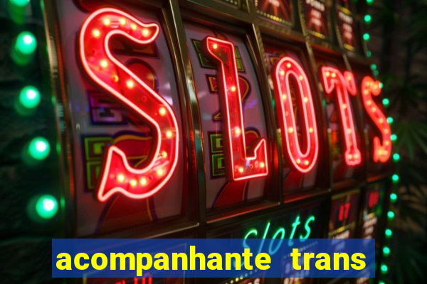 acompanhante trans porto seguro