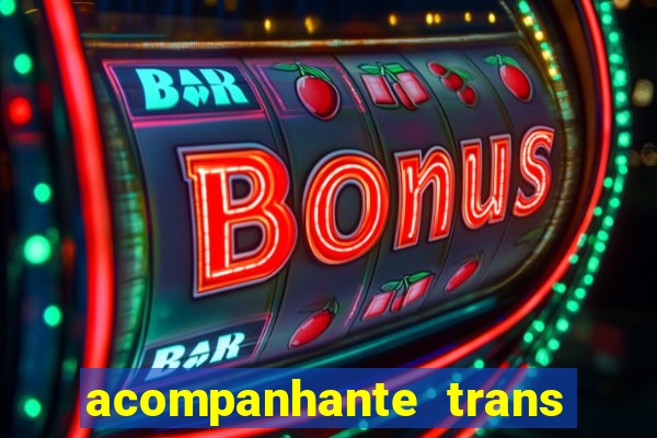 acompanhante trans porto seguro