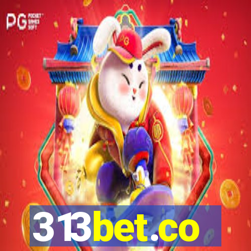 313bet.co