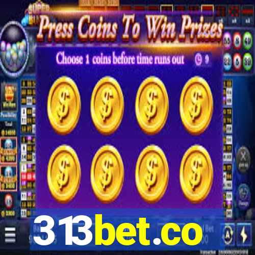 313bet.co