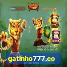 gatinho777.co