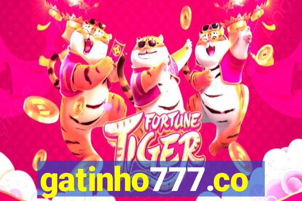 gatinho777.co