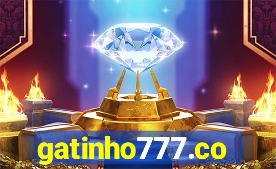 gatinho777.co