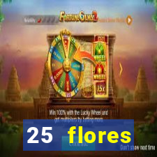 25 flores silvestres com nomes 25 flores silvestres desbravadores