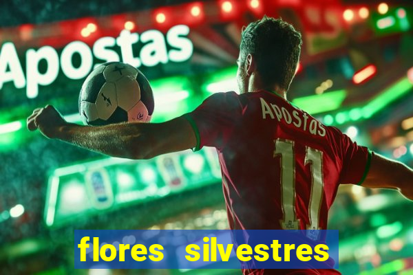 flores silvestres desbravadores desbravadores 25