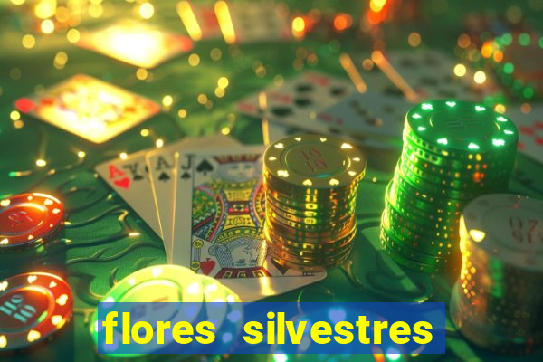 flores silvestres desbravadores desbravadores 25