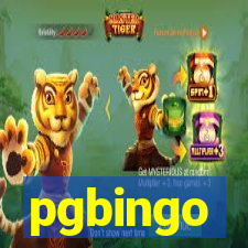 pgbingo