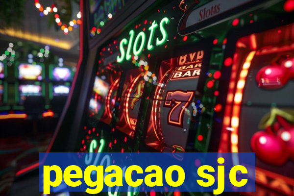 pegacao sjc