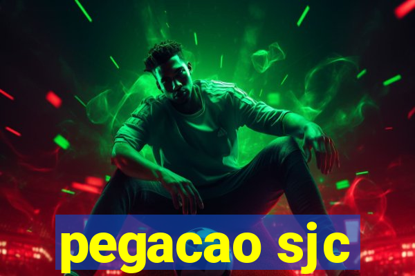 pegacao sjc