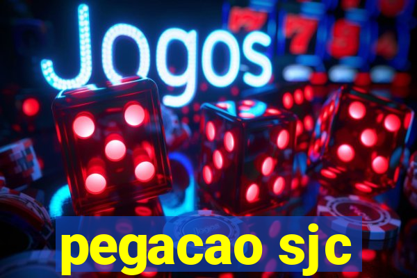 pegacao sjc