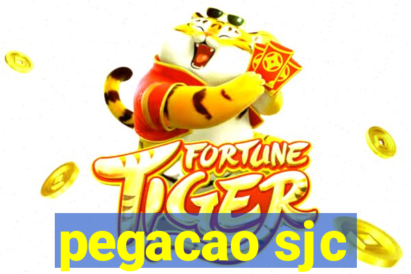 pegacao sjc