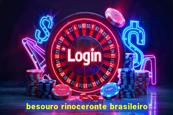 besouro rinoceronte brasileiro