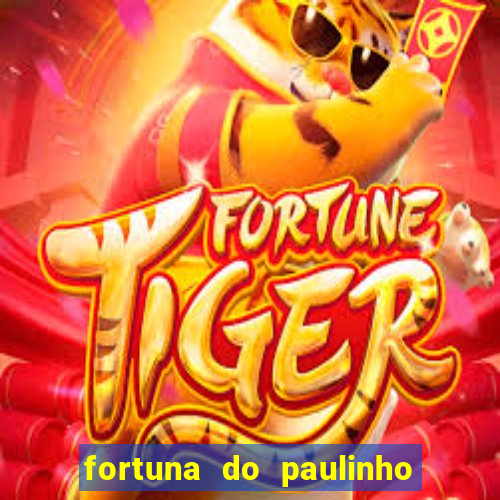 fortuna do paulinho do roupa nova