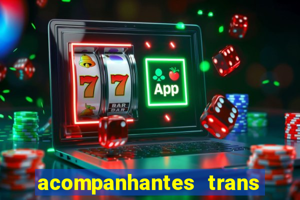 acompanhantes trans baixada fluminense