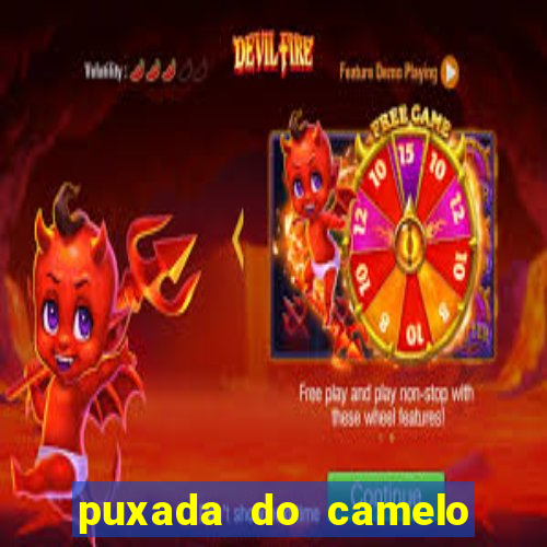 puxada do camelo no jogo do bicho