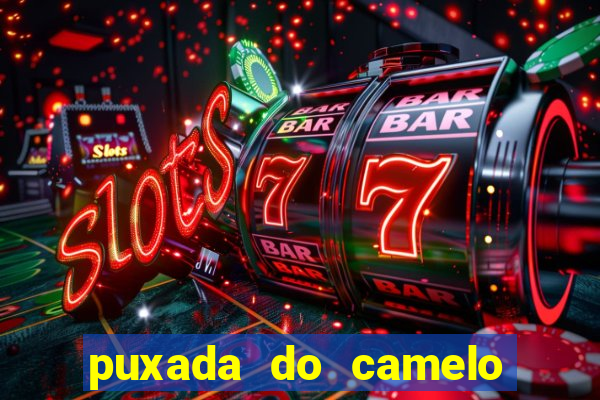 puxada do camelo no jogo do bicho