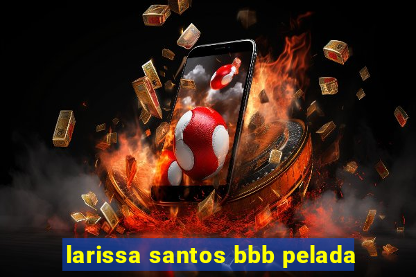 larissa santos bbb pelada