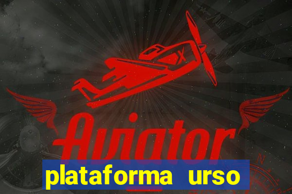 plataforma urso polar 777