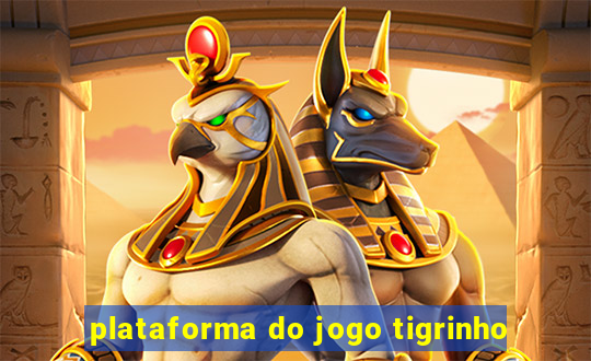 plataforma do jogo tigrinho