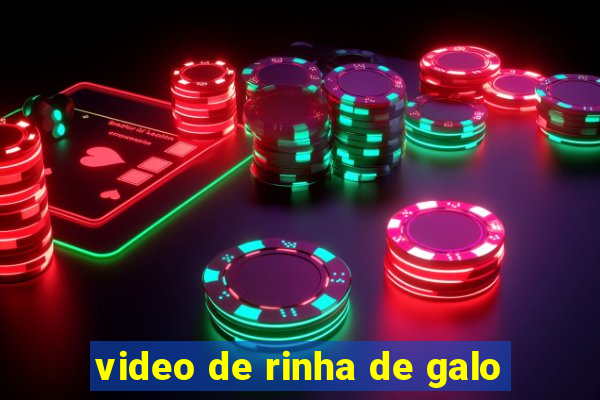 video de rinha de galo