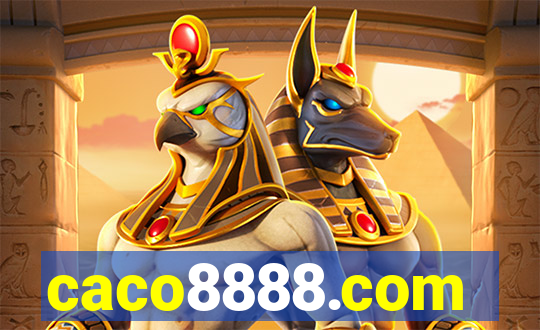 caco8888.com