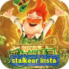 stalkear insta