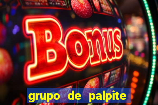 grupo de palpite de futebol telegram