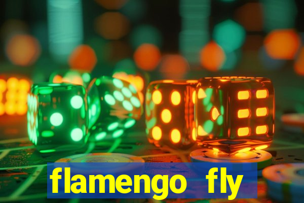 flamengo fly emirates ultimas noticias