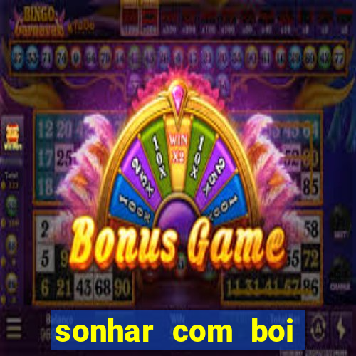 sonhar com boi jogo do bicho